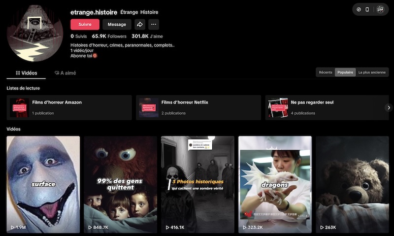 exemple histoire horreur tiktok